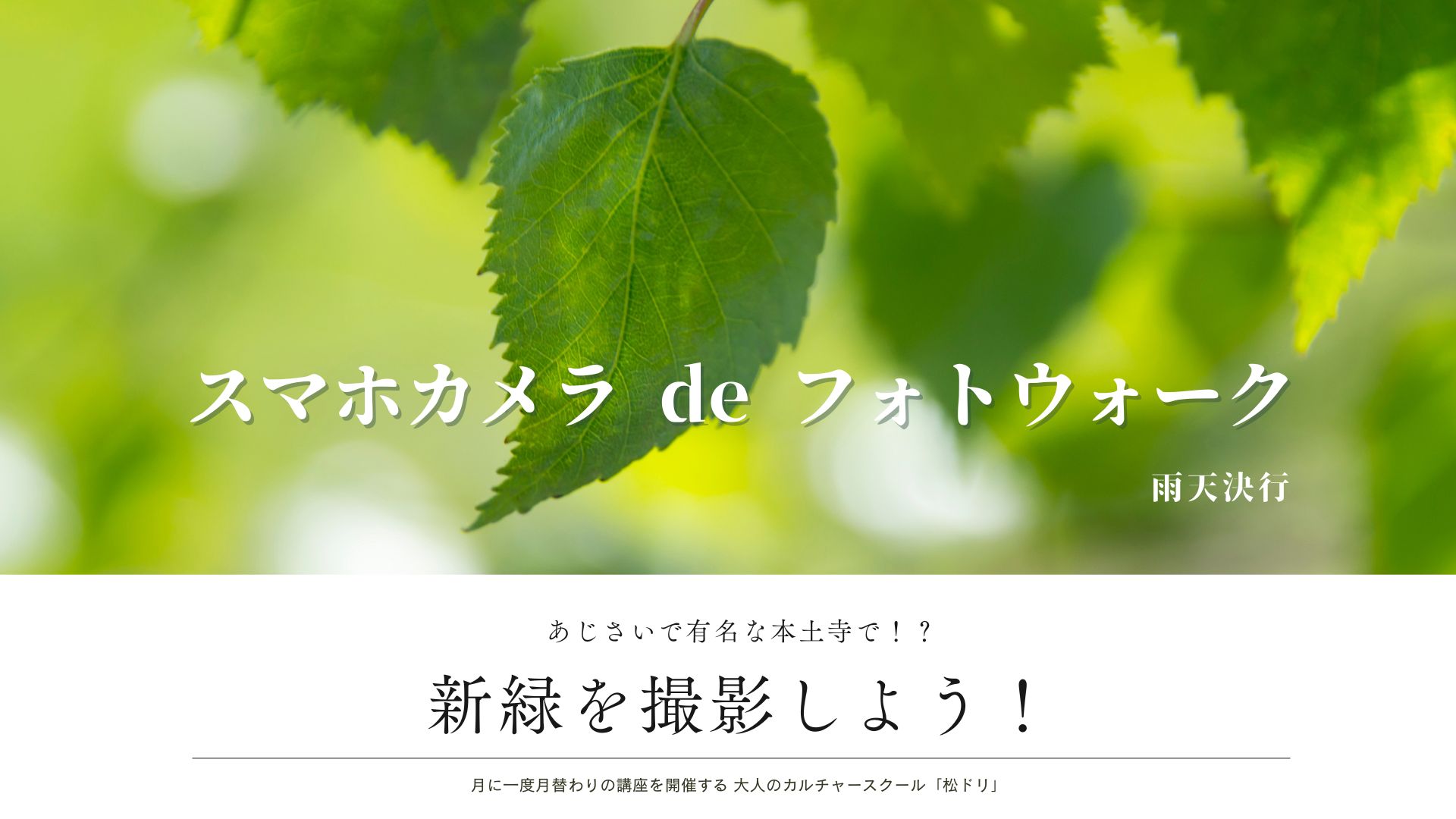 フォトグラファー直伝！新緑の本土寺を巡る「スマホ de フォトウォーク」